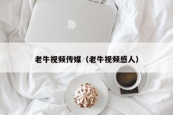 老牛视频传媒（老牛视频感人）